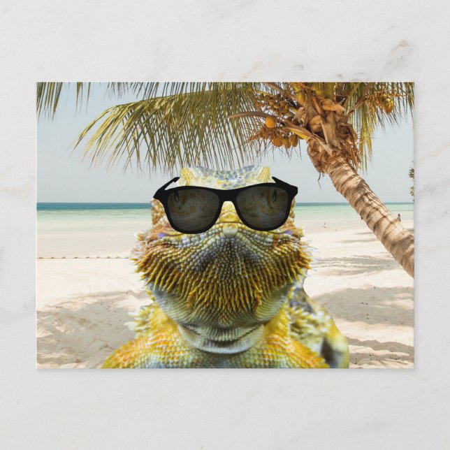 Summer is Coming Postcard (Front)