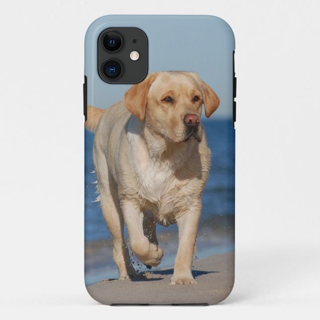 Summer lab Case-Mate iPhone case (Back)