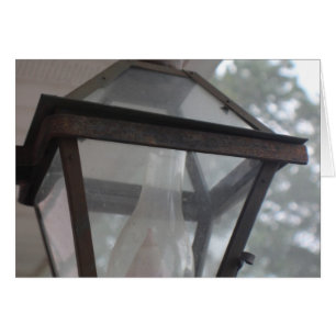 Summer Lamp