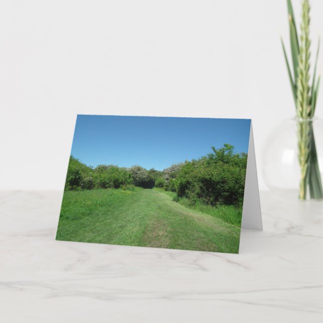 Summer Landscape Card (Front)