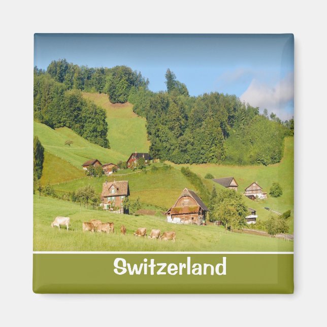 Summer Landscape in Switzerland Magnet (Front)