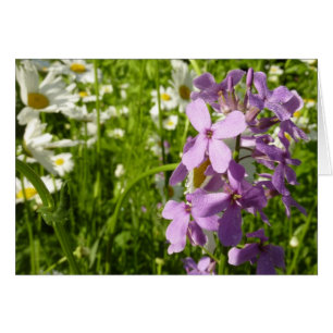 Summer Lilac and Daisies