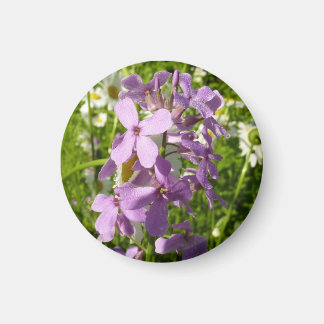 Summer Lilac and Daisies Magnet