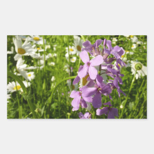 Summer Lilac and Daisies Rectangular Sticker