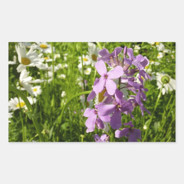Summer Lilac and Daisies Rectangular Sticker (Front)