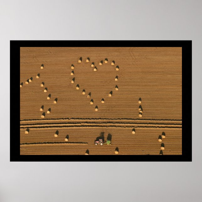 Summer Love Poster (Front)