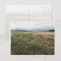 Summer meadow, Dreamy Cottagecore Landscape