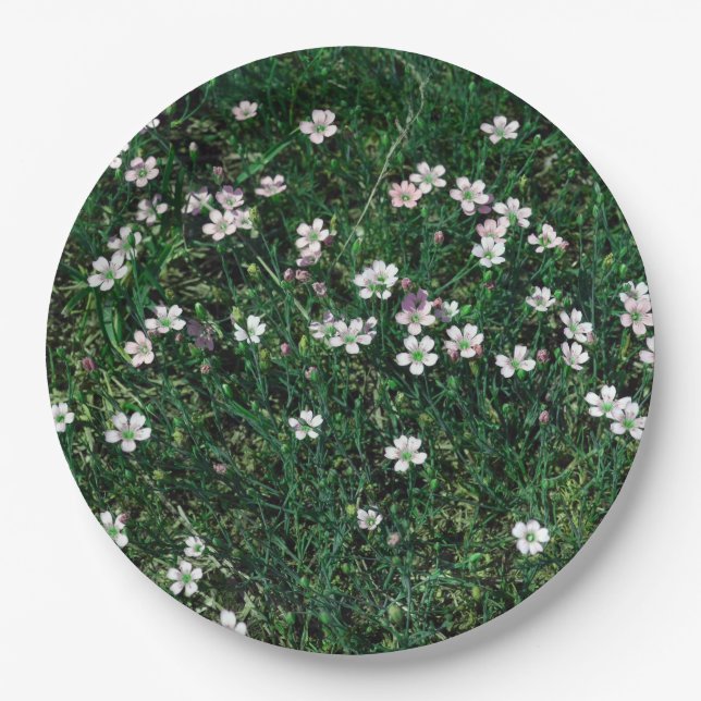 Summer Meadow Small White & Light Pink Wildflowers Paper Plate (Front)
