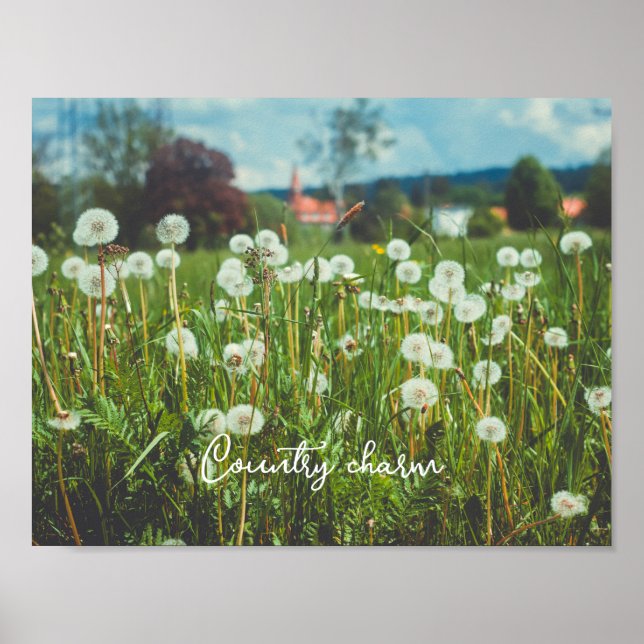 Summer meadow with dandelions poster (Front)