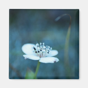 Summer Memories Magnet