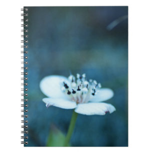 Summer Memories Notebook