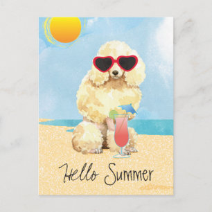 Summer Miniature Poodle Postcard