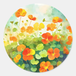 Summer Nasturtium Floral Classic Round Sticker