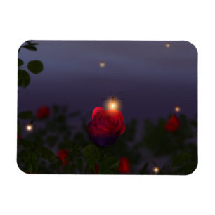 Summer Nightlights Flexible Magnet