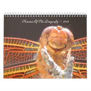 Summer Of The Dragonfly ~ 2014 Calendar