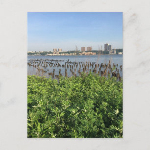 Summer on the Hudson NYC New York City Postcard
