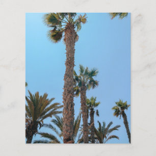 Summer Palm trees Flyer