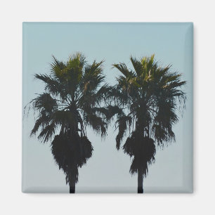 Summer Palm Trees Magnets