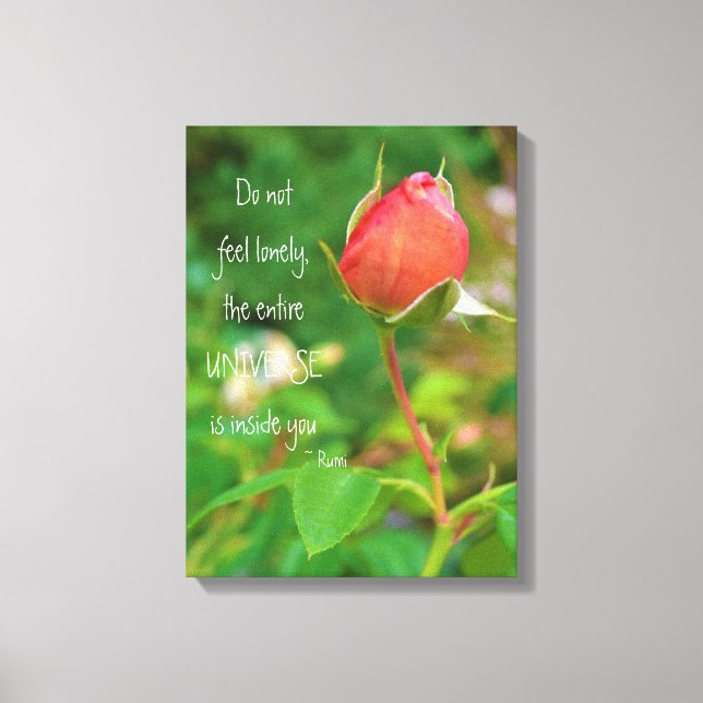 Summer Peach Rose Bud Rumi Quote Canvas Print (Front)