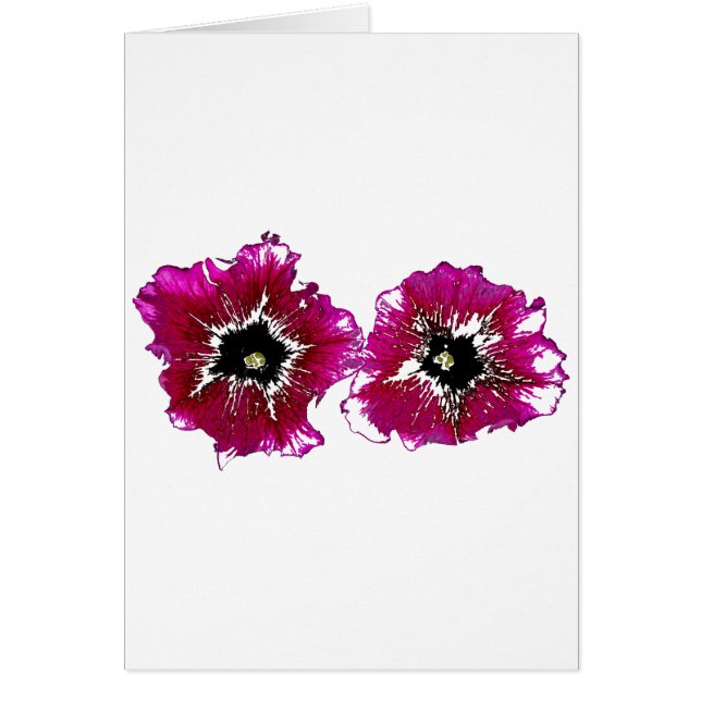 Summer Petunias (Front)