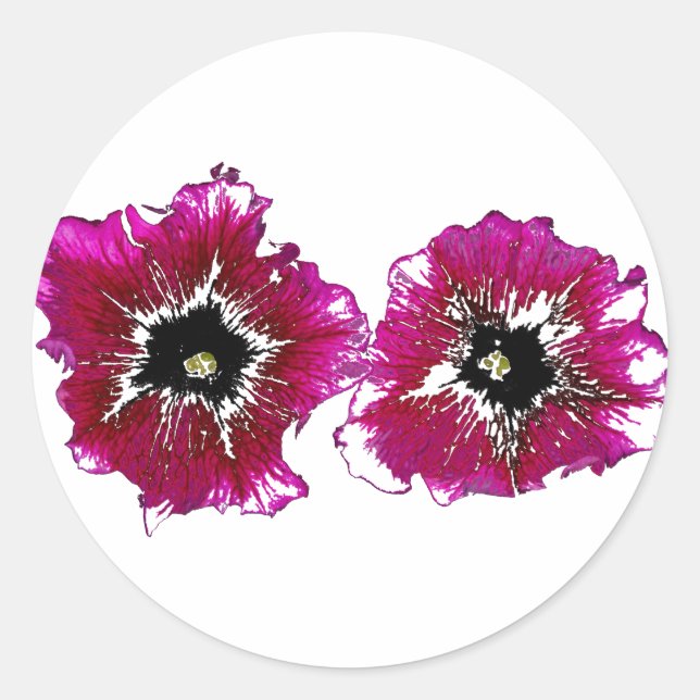 Summer Petunias Classic Round Sticker (Front)