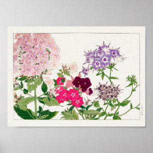 Summer phlox by Tanigami Konan Poster