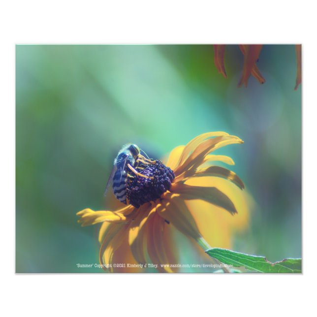 Summer Photo Print (Front)