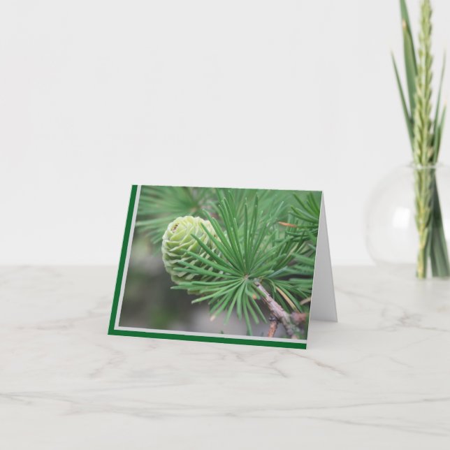 Summer Pine Cone Note Card (Front)