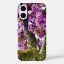 Summer Pink Blooming Tree Crown Photo -