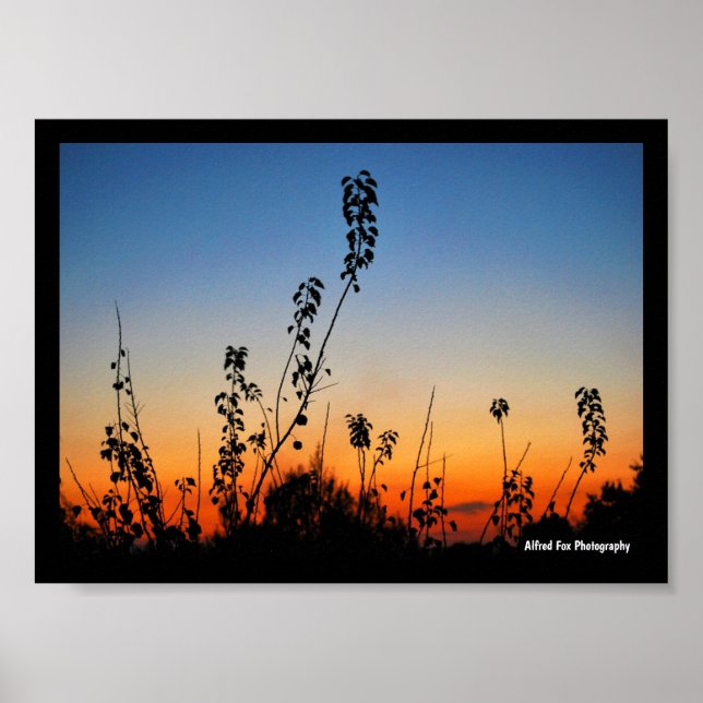 Summer Plant Silhouettes Poster (Front)