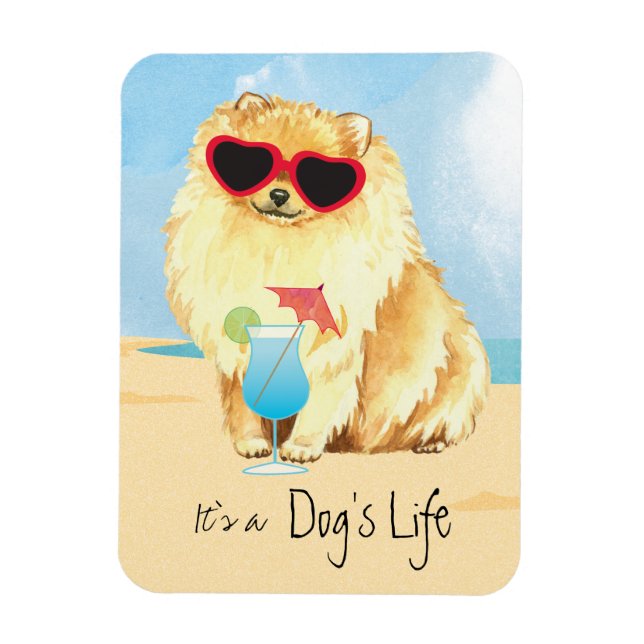 Summer Pomeranian Magnet (Vertical)