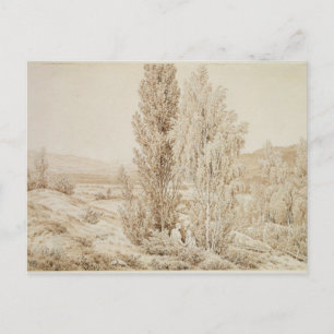 Summer Postcard