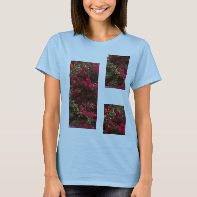 Summer Rose Flower  Pattern Women's  T-Shirt (Front)
