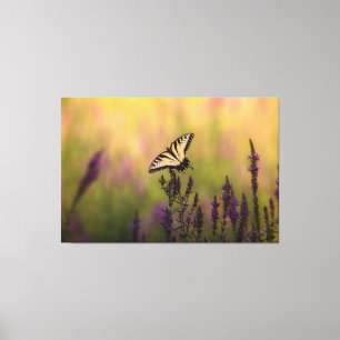 Summer Scene, Butterfly and Loosestrife Canvas Print