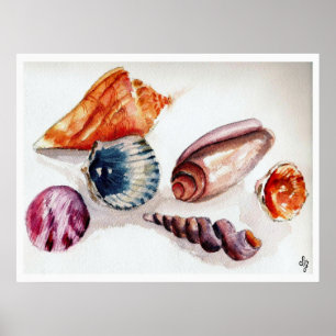 Summer Sea Shells Poster