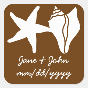 Summer Seashells in Chocolate Sticker
