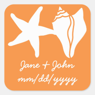 Summer Seashells in Orange Sticker