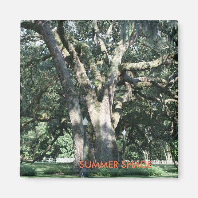 SUMMER SHADE Season Magnet (Front)