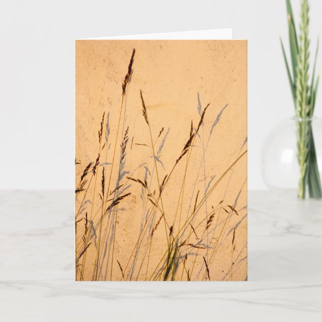 Summer shadows card (Front)