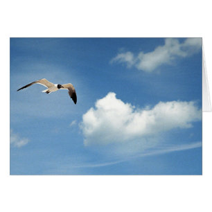 Summer Sky