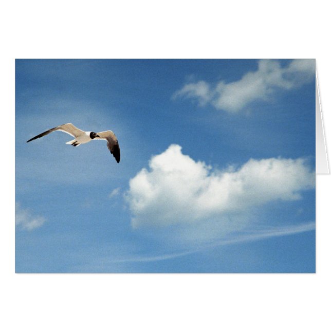 Summer Sky (Front Horizontal)