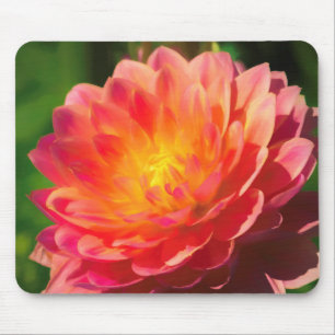 Summer Spectacle Mouse Pad