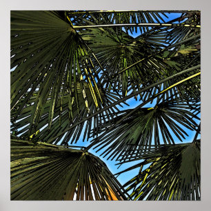 summer spirit poster