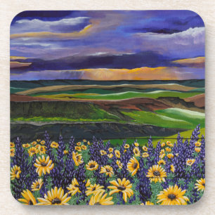 Summer Storm Coaster