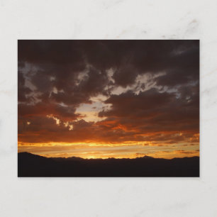 Summer Sun Setting Postcard