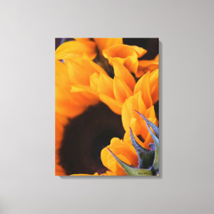Summer Sunflower Canvas Print