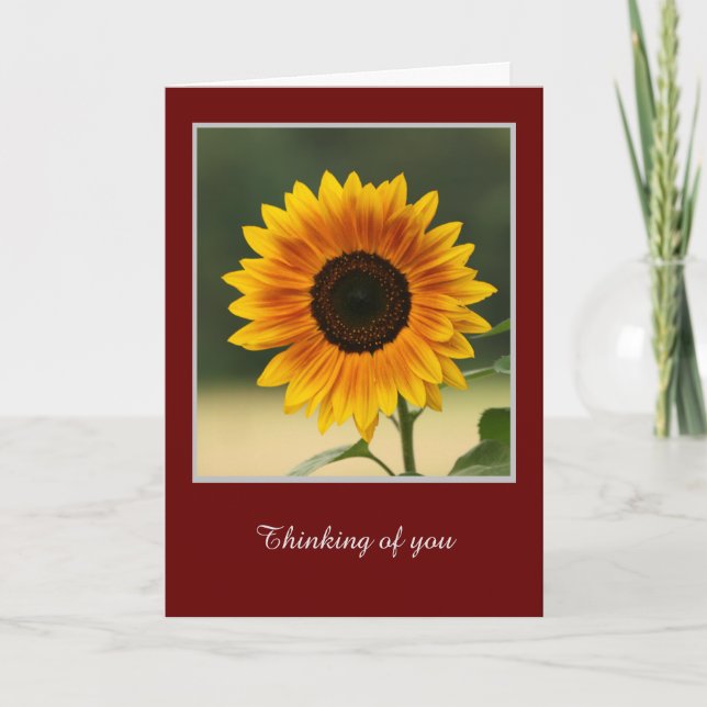 Summer Sunflower Folded Greeting Card (Front)