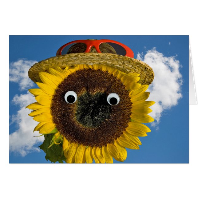 Summer Sunflower Humour Birthday (Front Horizontal)