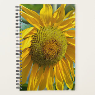 Summer sunflower planner