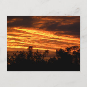 Summer sunset in Canberra Postcard